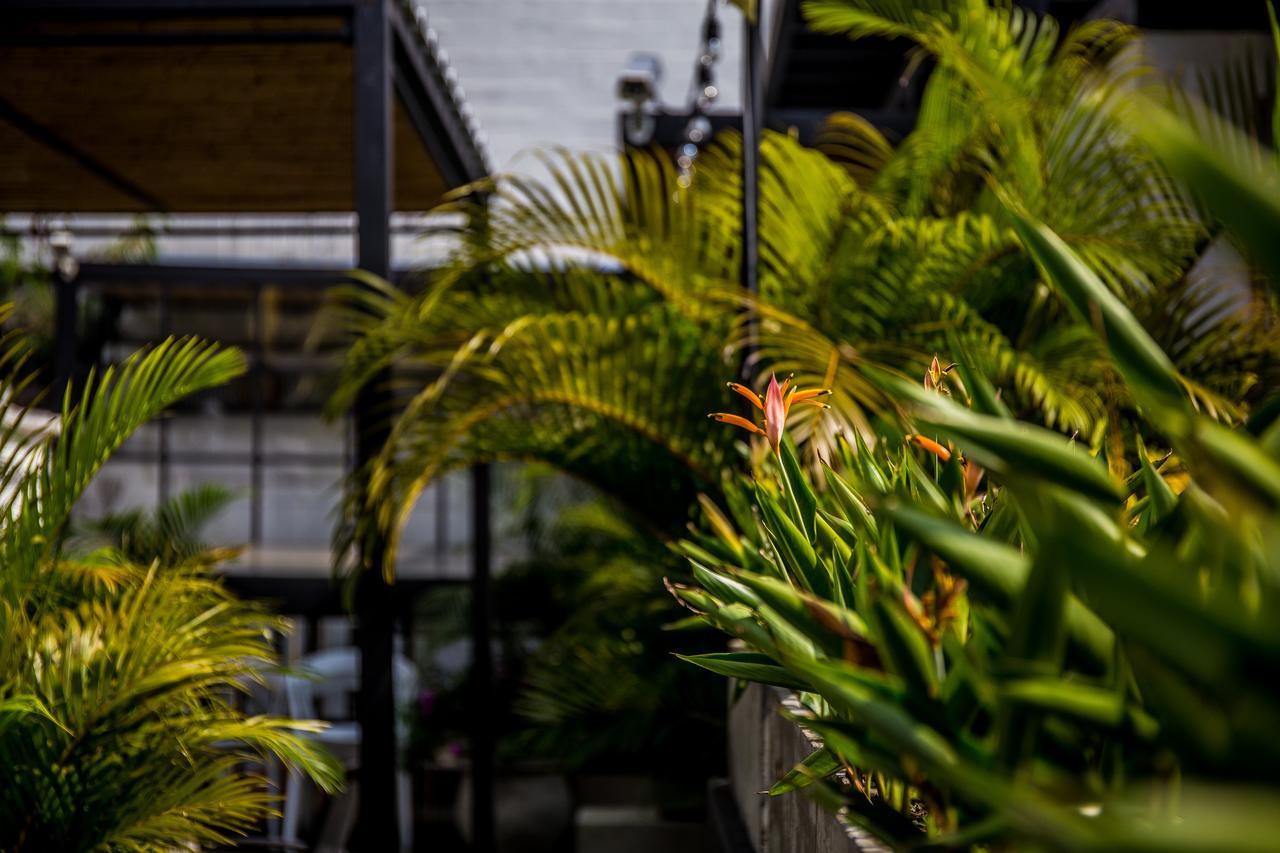 Alko Hotel Boutique Cali Bagian luar foto